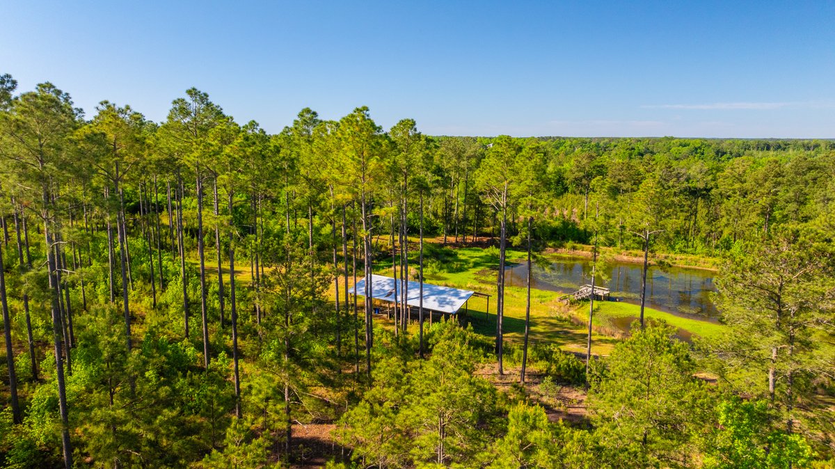 Image for 198.85± Total Acres - Diverse South Georgia Land Tract - Open Farmland w/ Timber & Stocked Pond