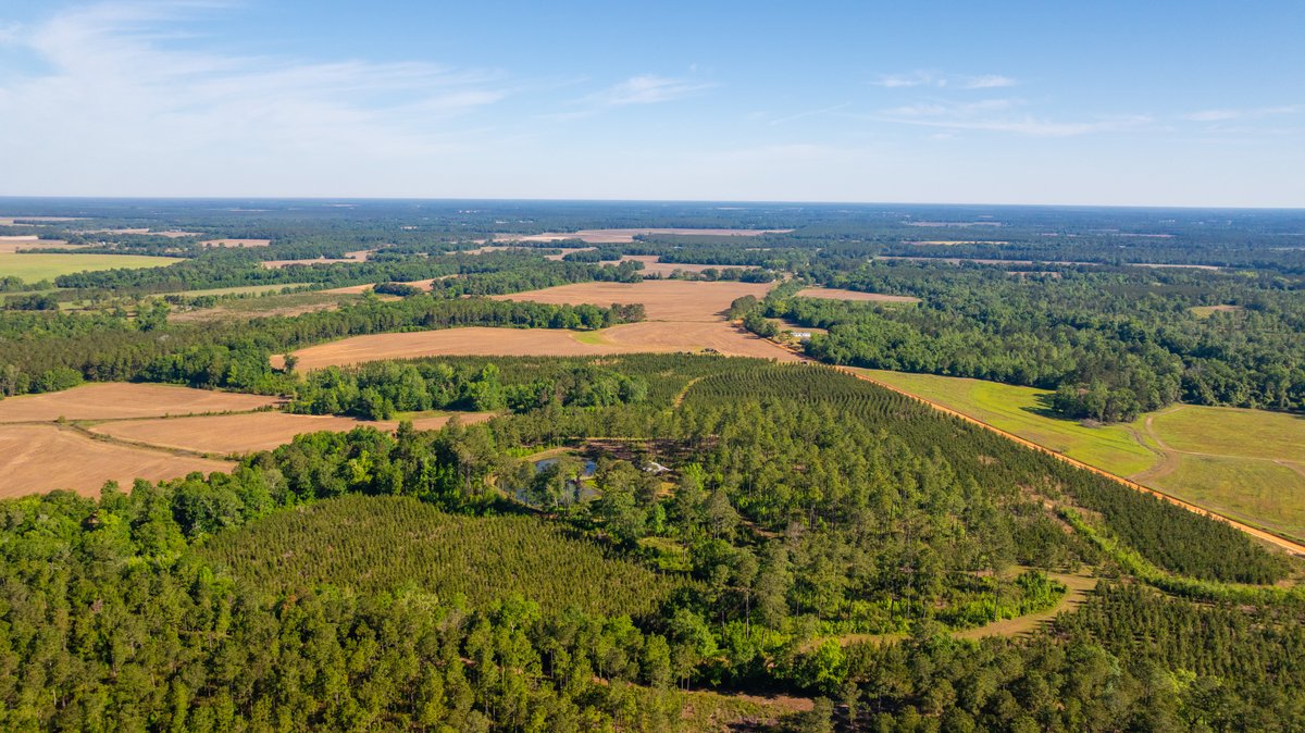 Image for 198.85± Total Acres - Diverse South Georgia Land Tract - Open Farmland w/ Timber & Stocked Pond