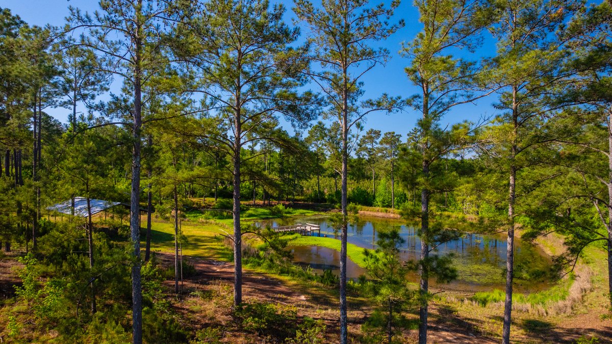 Image for 198.85± Total Acres - Diverse South Georgia Land Tract - Open Farmland w/ Timber & Stocked Pond