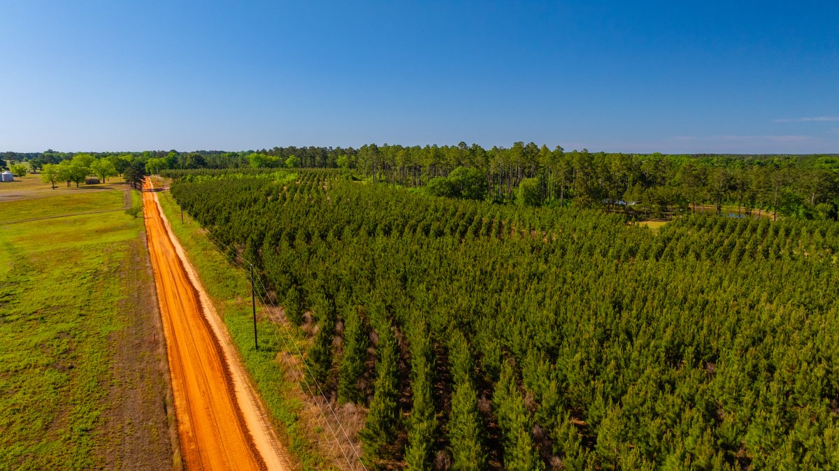 Image for 198.85± Total Acres - Diverse South Georgia Land Tract - Open Farmland w/ Timber & Stocked Pond