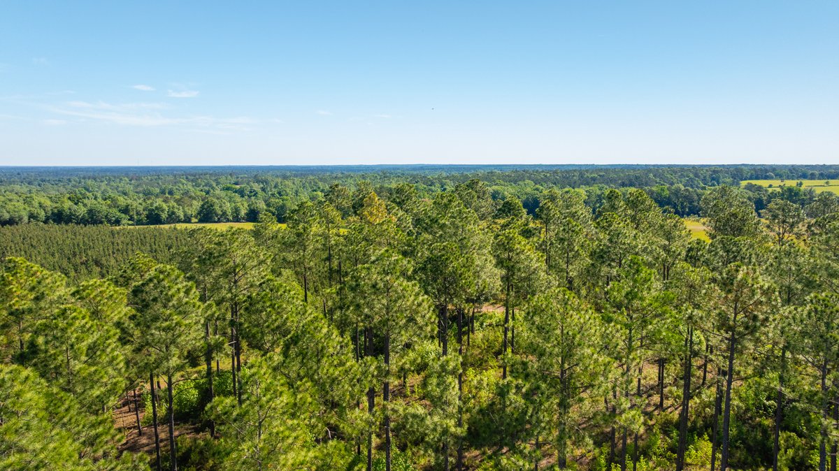 Image for 198.85± Total Acres - Diverse South Georgia Land Tract - Open Farmland w/ Timber & Stocked Pond