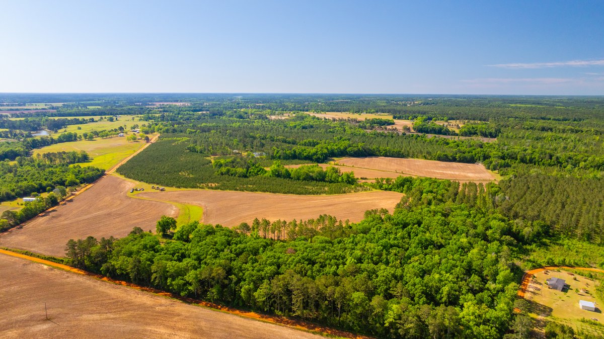 Image for 198.85± Total Acres - Diverse South Georgia Land Tract - Open Farmland w/ Timber & Stocked Pond
