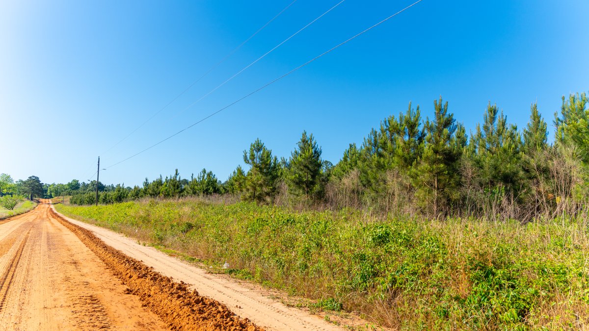 Image for 198.85± Total Acres - Diverse South Georgia Land Tract - Open Farmland w/ Timber & Stocked Pond