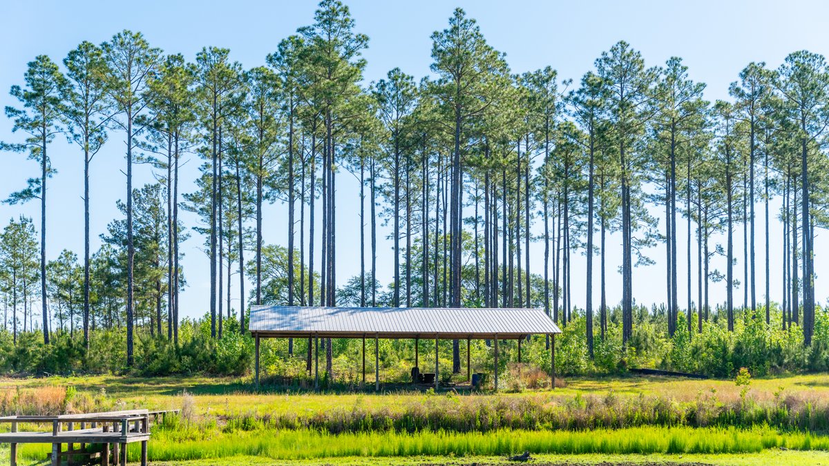 Image for 198.85± Total Acres - Diverse South Georgia Land Tract - Open Farmland w/ Timber & Stocked Pond