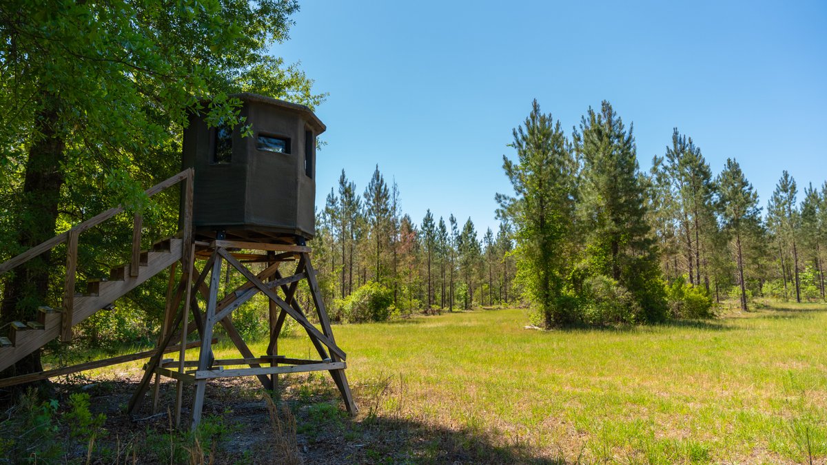 Image for Coffee Plantation - 725± Acres - Dodge County, Georgia - Premier Recreational, Timber & Investment Property - Offered Divided & As A Whole