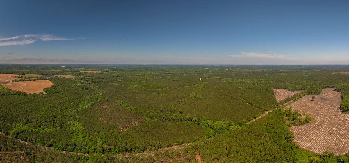 Image for Coffee Plantation - 725± Acres - Dodge County, Georgia - Premier Recreational, Timber & Investment Property - Offered Divided & As A Whole
