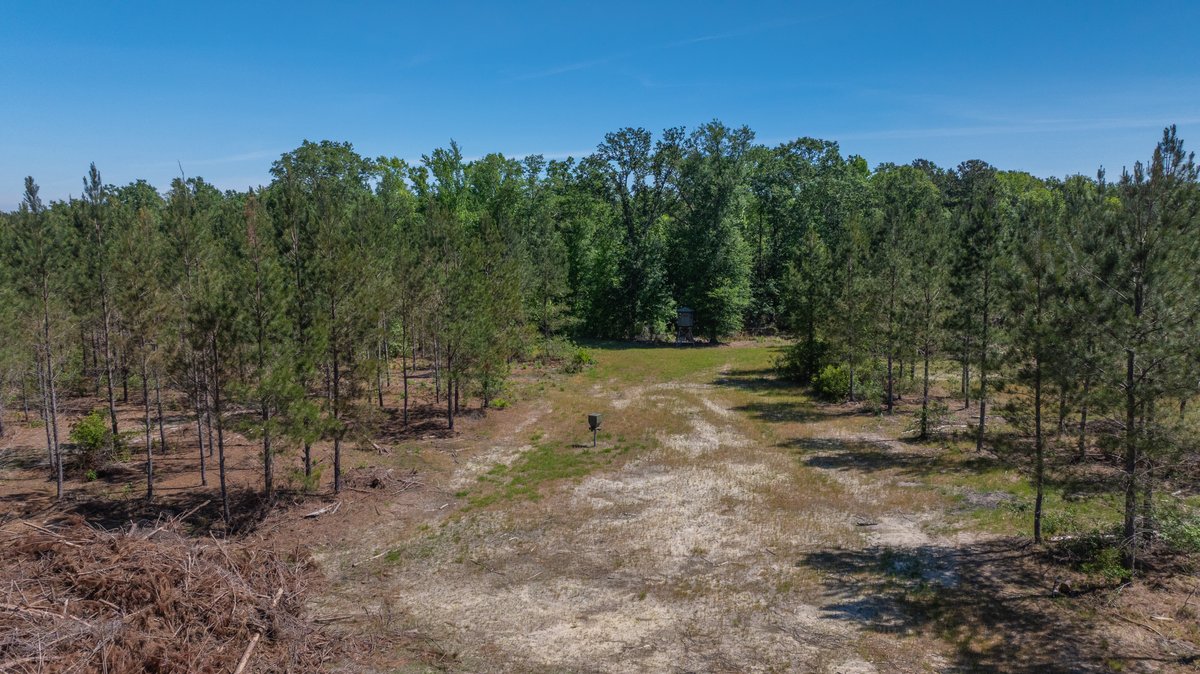 Image for Coffee Plantation - 725± Acres - Dodge County, Georgia - Premier Recreational, Timber & Investment Property - Offered Divided & As A Whole