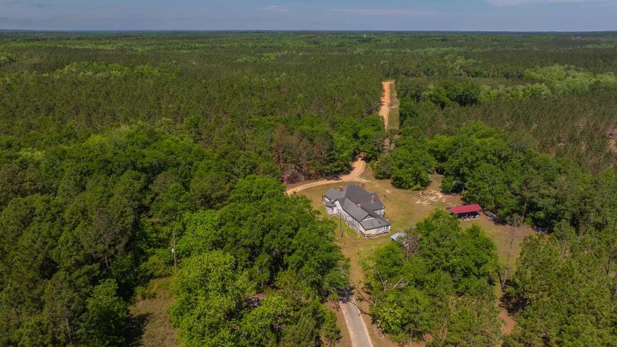 Image for Coffee Plantation - 725± Acres - Dodge County, Georgia - Premier Recreational, Timber & Investment Property - Offered Divided & As A Whole