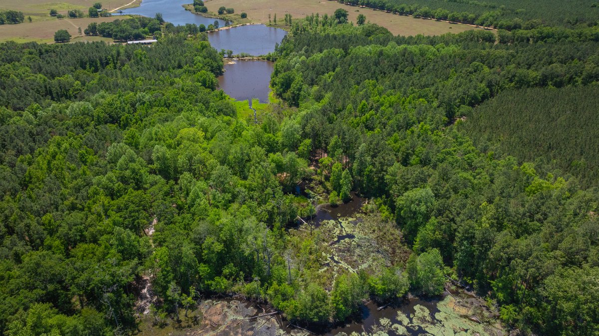 Image for Coffee Plantation - 725± Acres - Dodge County, Georgia - Premier Recreational, Timber & Investment Property - Offered Divided & As A Whole