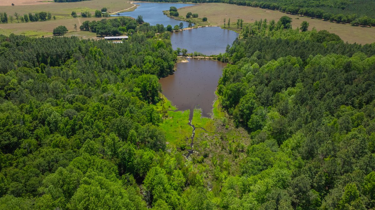 Image for Coffee Plantation - 725± Acres - Dodge County, Georgia - Premier Recreational, Timber & Investment Property - Offered Divided & As A Whole