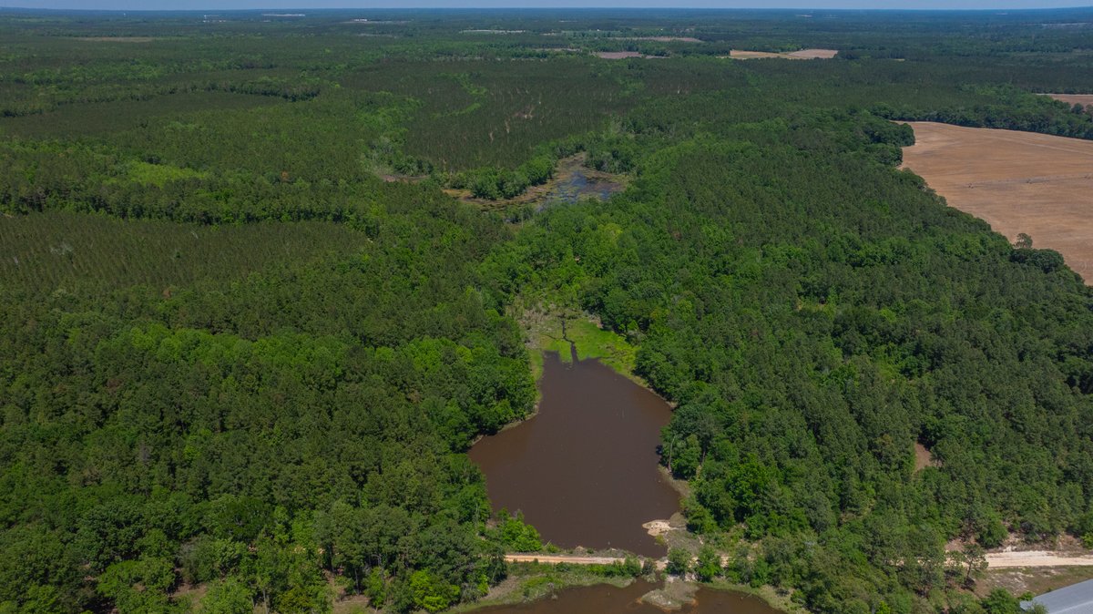 Image for Coffee Plantation - 725± Acres - Dodge County, Georgia - Premier Recreational, Timber & Investment Property - Offered Divided & As A Whole