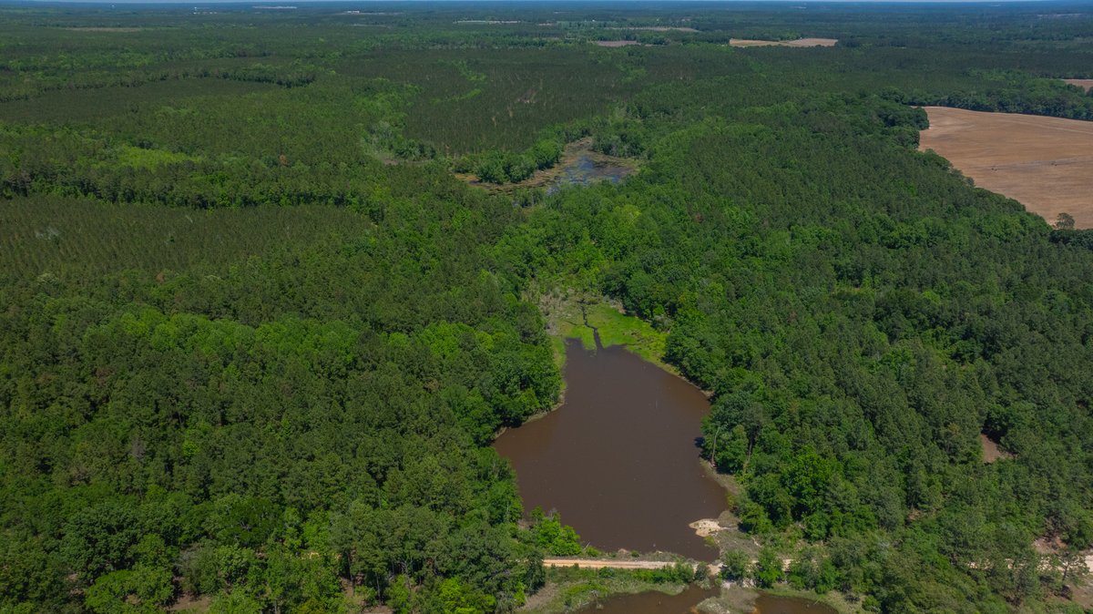 Image for Coffee Plantation - 725± Acres - Dodge County, Georgia - Premier Recreational, Timber & Investment Property - Offered Divided & As A Whole