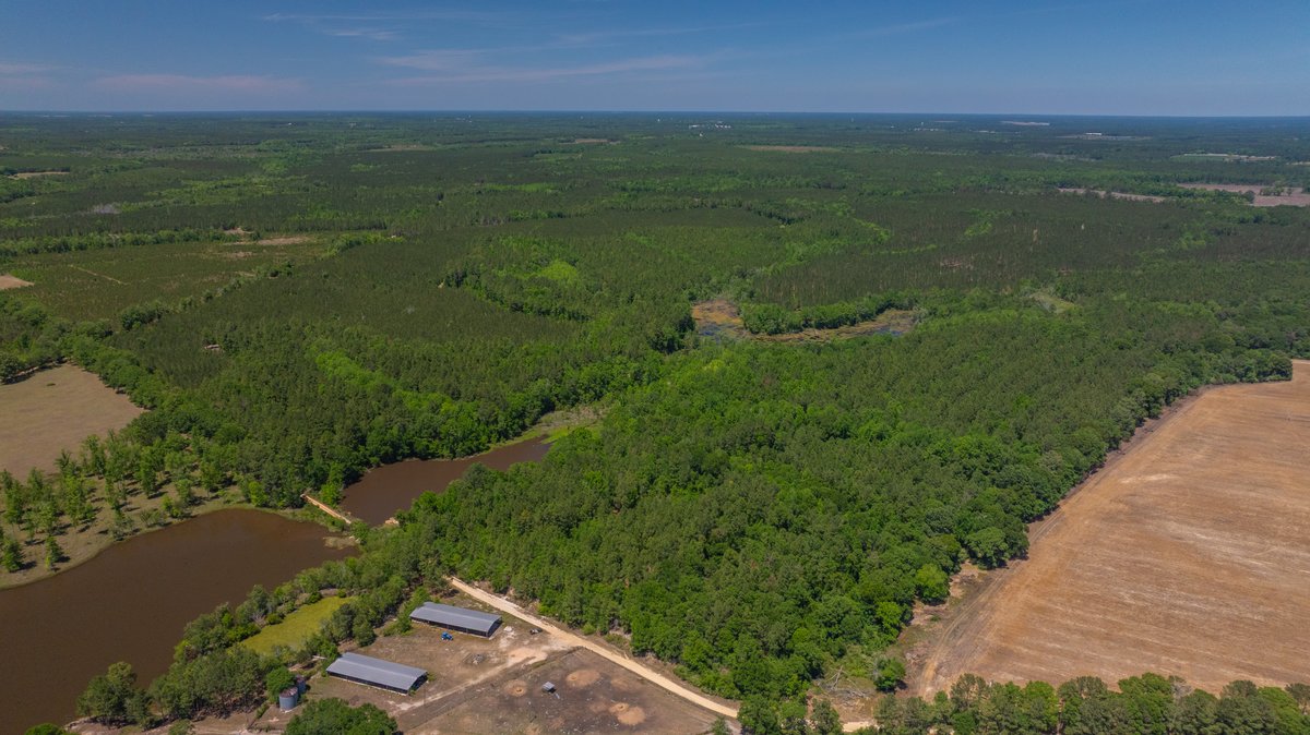 Image for Coffee Plantation - 725± Acres - Dodge County, Georgia - Premier Recreational, Timber & Investment Property - Offered Divided & As A Whole