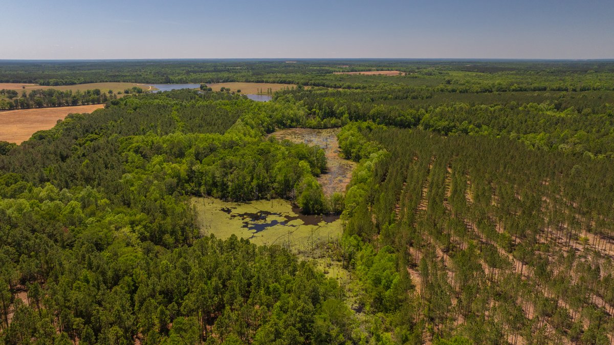 Image for Coffee Plantation - 725± Acres - Dodge County, Georgia - Premier Recreational, Timber & Investment Property - Offered Divided & As A Whole