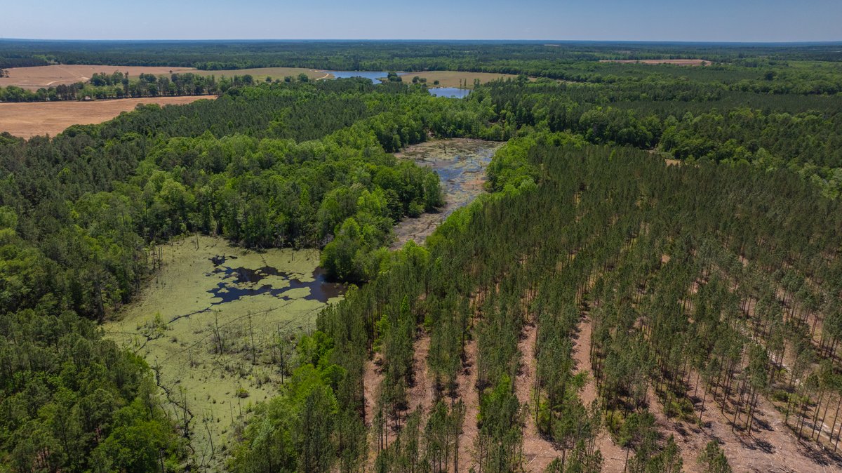 Image for Coffee Plantation - 725± Acres - Dodge County, Georgia - Premier Recreational, Timber & Investment Property - Offered Divided & As A Whole
