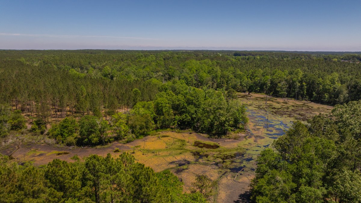 Image for Coffee Plantation - 725± Acres - Dodge County, Georgia - Premier Recreational, Timber & Investment Property - Offered Divided & As A Whole