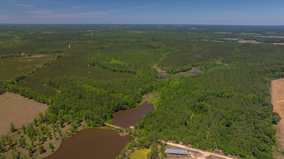 Image for Coffee Plantation - 725± Acres - Dodge County, Georgia - Premier Recreational, Timber & Investment Property - Offered Divided & As A Whole