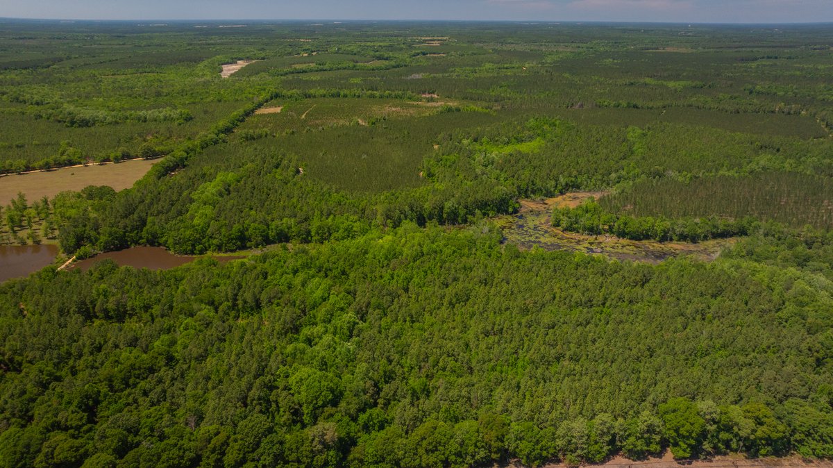 Image for Coffee Plantation - 725± Acres - Dodge County, Georgia - Premier Recreational, Timber & Investment Property - Offered Divided & As A Whole
