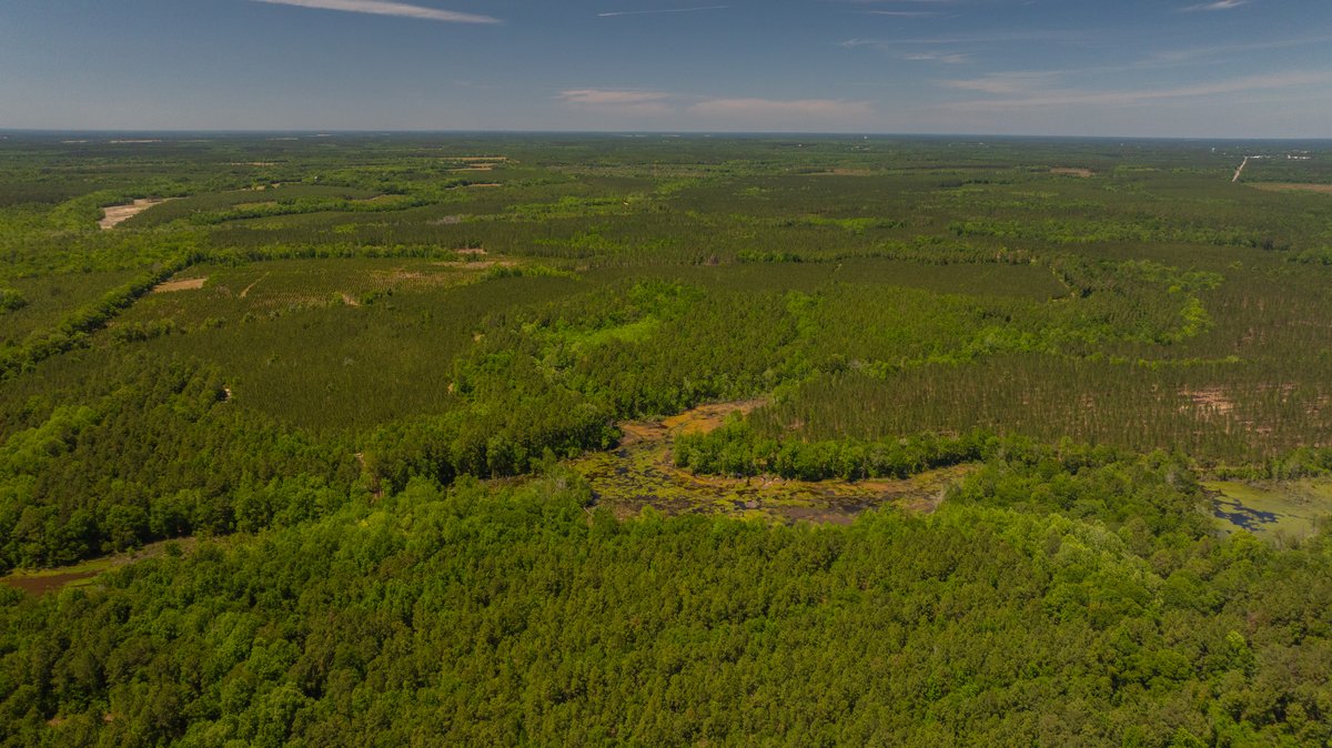 Image for Coffee Plantation - 725± Acres - Dodge County, Georgia - Premier Recreational, Timber & Investment Property - Offered Divided & As A Whole