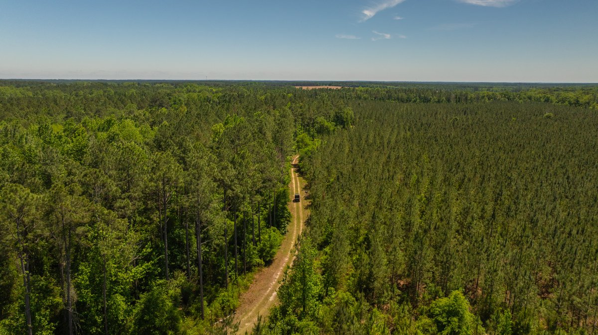 Image for Coffee Plantation - 725± Acres - Dodge County, Georgia - Premier Recreational, Timber & Investment Property - Offered Divided & As A Whole