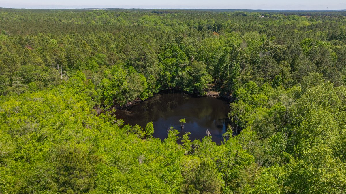 Image for Coffee Plantation - 725± Acres - Dodge County, Georgia - Premier Recreational, Timber & Investment Property - Offered Divided & As A Whole