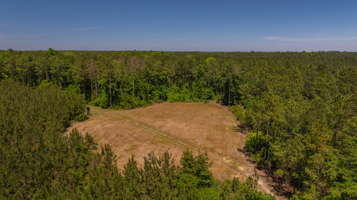 Image for Coffee Plantation - 725± Acres - Dodge County, Georgia - Premier Recreational, Timber & Investment Property - Offered Divided & As A Whole