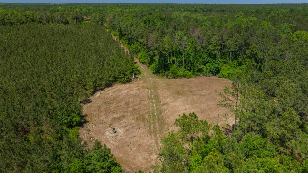 Image for Coffee Plantation - 725± Acres - Dodge County, Georgia - Premier Recreational, Timber & Investment Property - Offered Divided & As A Whole