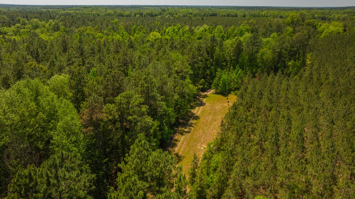 Image for Coffee Plantation - 725± Acres - Dodge County, Georgia - Premier Recreational, Timber & Investment Property - Offered Divided & As A Whole