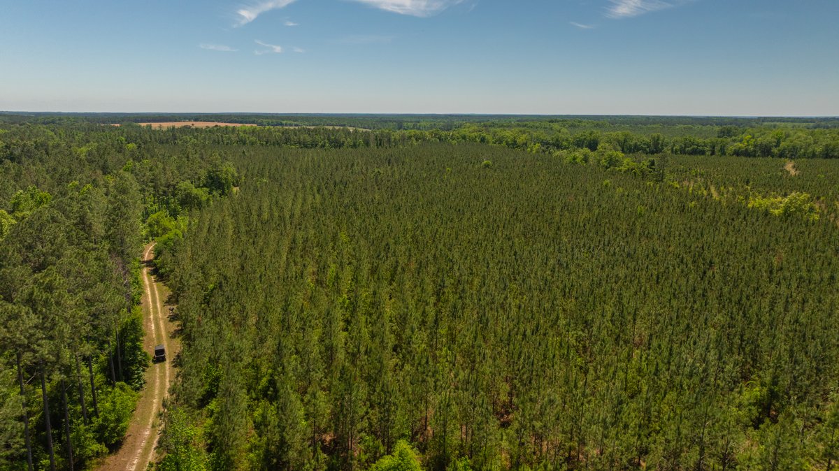 Image for Coffee Plantation - 725± Acres - Dodge County, Georgia - Premier Recreational, Timber & Investment Property - Offered Divided & As A Whole