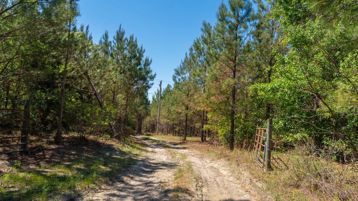 Image for Coffee Plantation - 725± Acres - Dodge County, Georgia - Premier Recreational, Timber & Investment Property - Offered Divided & As A Whole