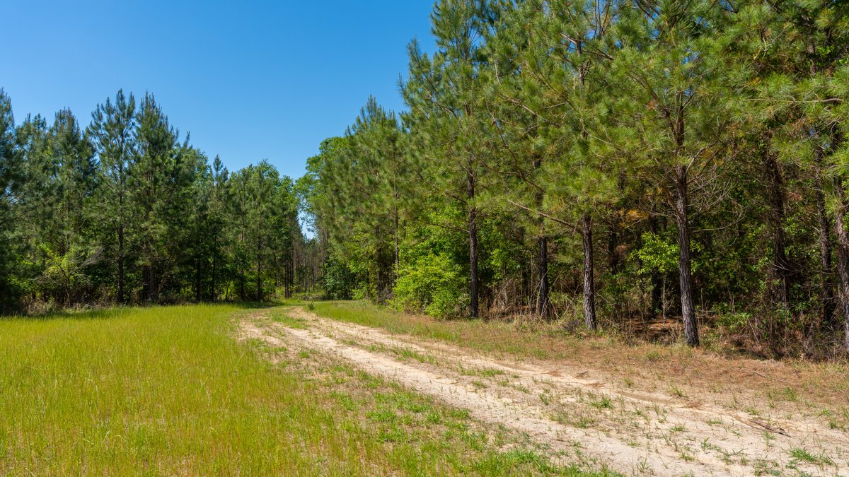 Image for Coffee Plantation - 725± Acres - Dodge County, Georgia - Premier Recreational, Timber & Investment Property - Offered Divided & As A Whole