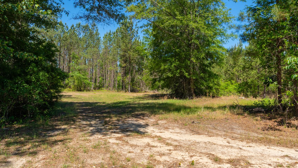 Image for Coffee Plantation - 725± Acres - Dodge County, Georgia - Premier Recreational, Timber & Investment Property - Offered Divided & As A Whole