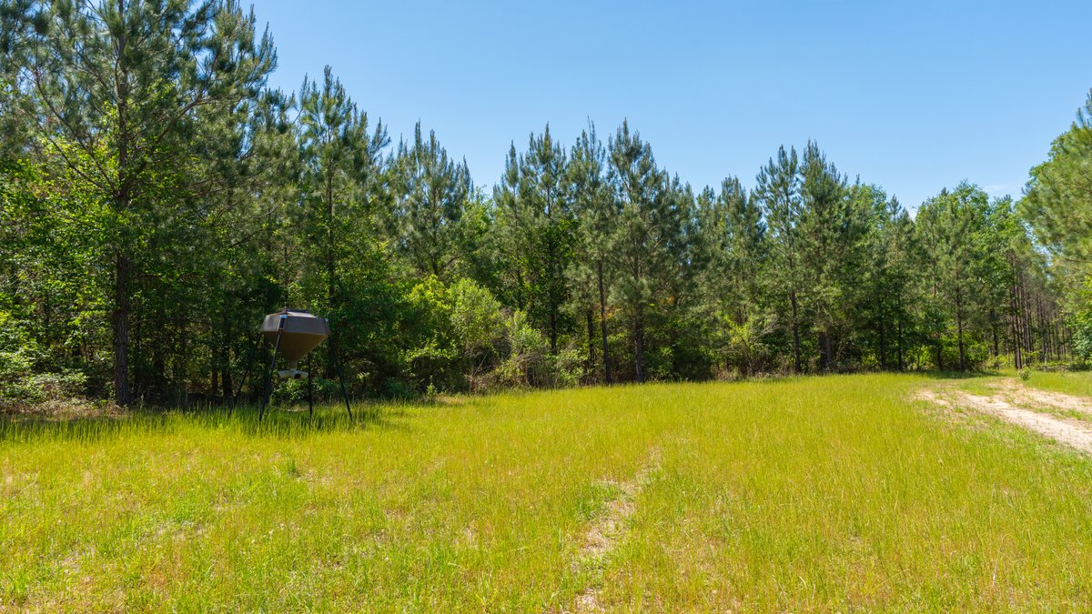 Image for Coffee Plantation - 725± Acres - Dodge County, Georgia - Premier Recreational, Timber & Investment Property - Offered Divided & As A Whole