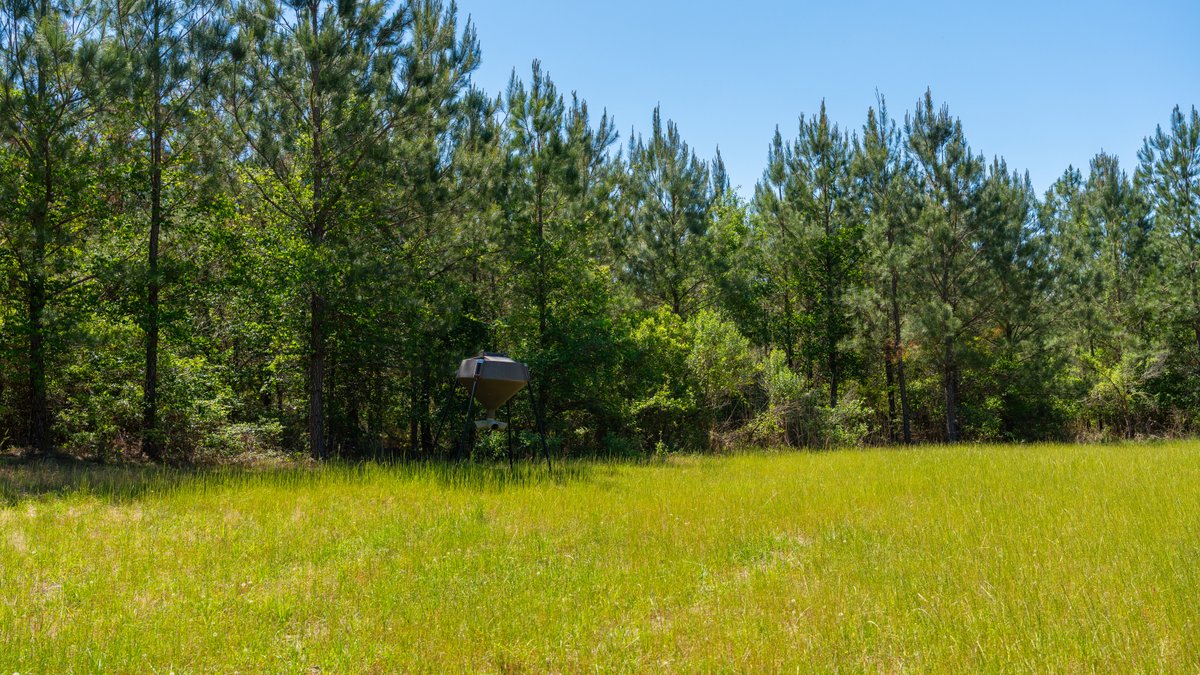 Image for Coffee Plantation - 725± Acres - Dodge County, Georgia - Premier Recreational, Timber & Investment Property - Offered Divided & As A Whole