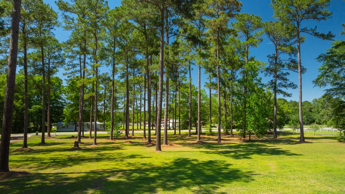 Image for Spacious 4BR Home w/ Pool, Patio & Acreage
