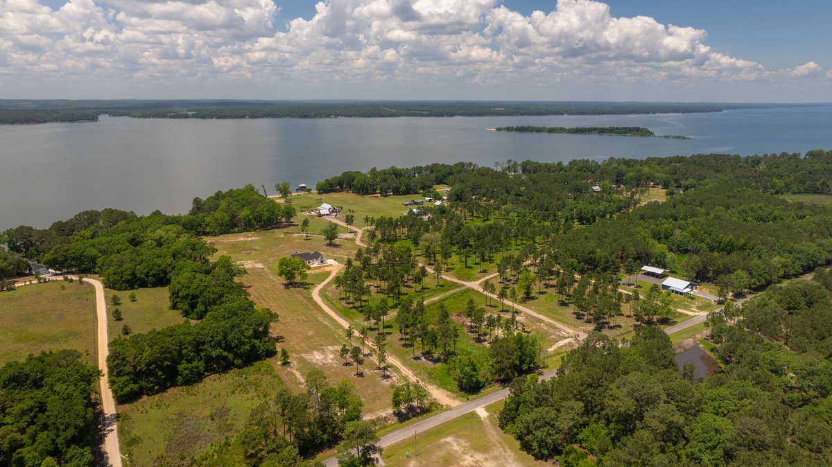 Image for 5.041 +/- Acres - Jones Tract Homesite With Lake Walter F. George Frontage - Dock Permittable - Beach Access - Fort Gaines, GA