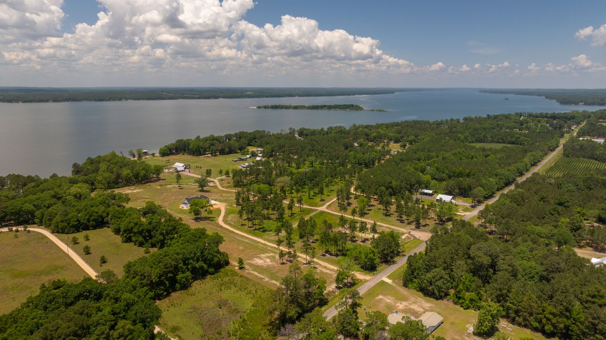 Image for 5.041 +/- Acres - Jones Tract Homesite With Lake Walter F. George Frontage - Dock Permittable - Beach Access - Fort Gaines, GA
