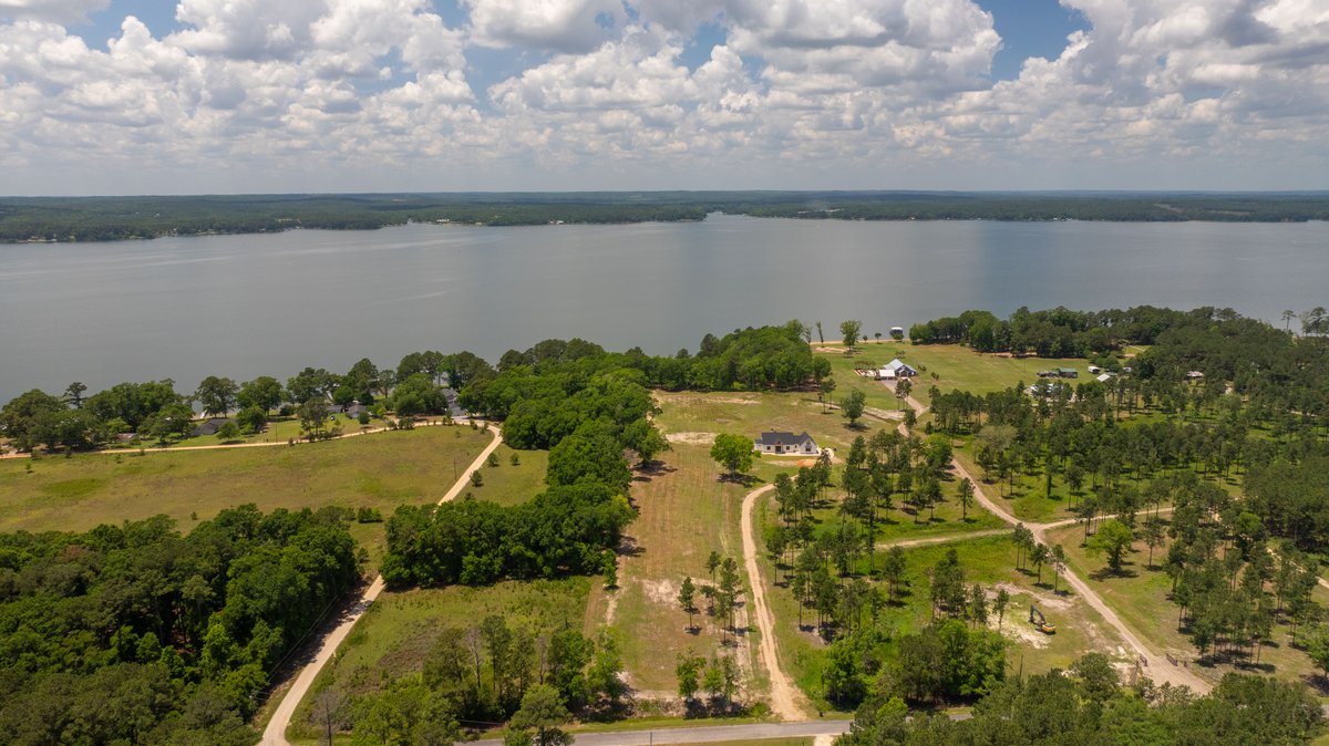 Image for 5.041 +/- Acres - Jones Tract Homesite With Lake Walter F. George Frontage - Dock Permittable - Beach Access - Fort Gaines, GA