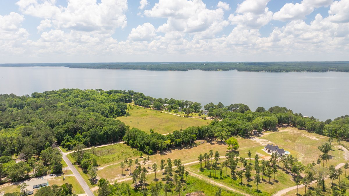 Image for 5.041 +/- Acres - Jones Tract Homesite With Lake Walter F. George Frontage - Dock Permittable - Beach Access - Fort Gaines, GA
