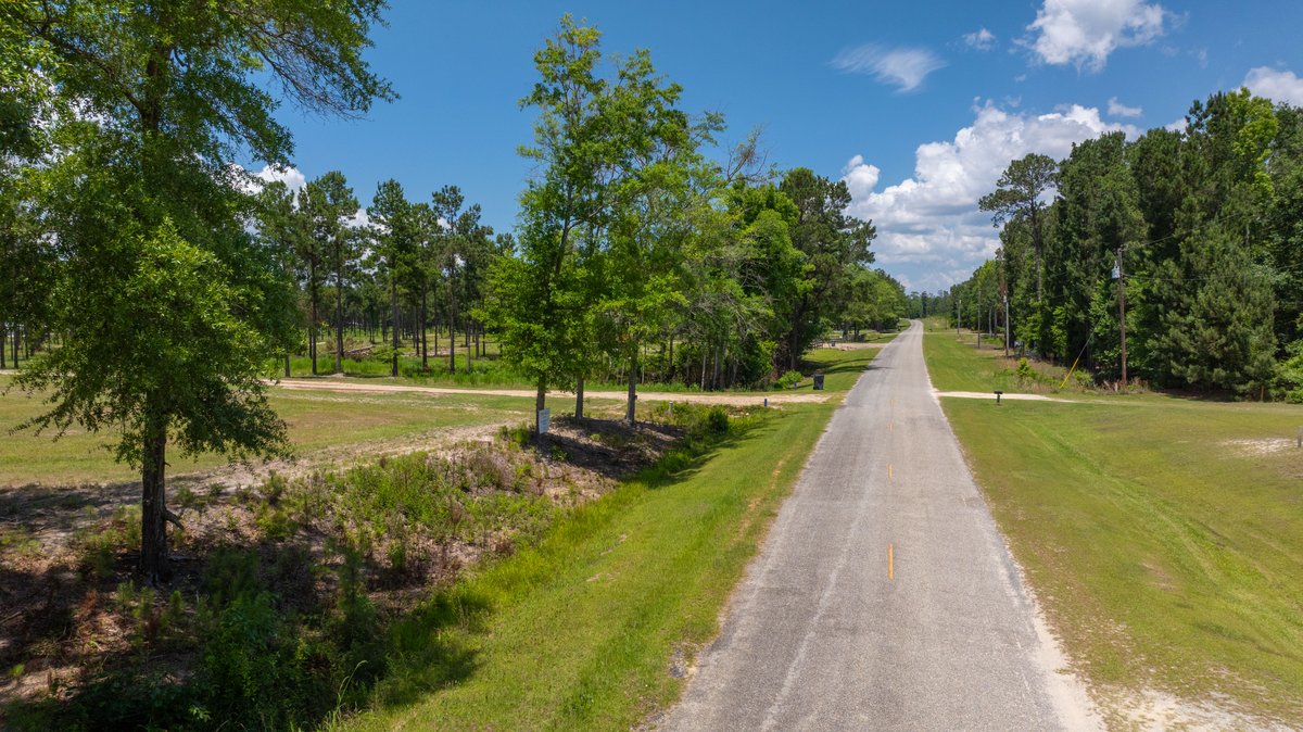 Image for 5.041 +/- Acres - Jones Tract Homesite With Lake Walter F. George Frontage - Dock Permittable - Beach Access - Fort Gaines, GA