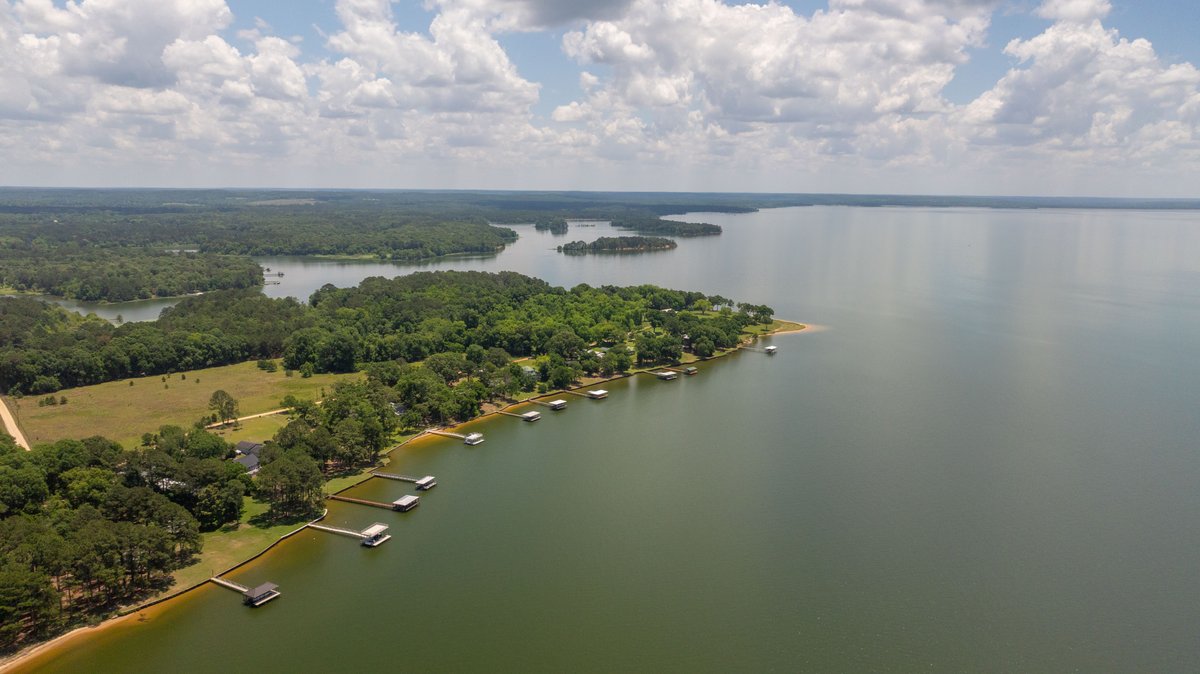 Image for 5.041 +/- Acres - Jones Tract Homesite With Lake Walter F. George Frontage - Dock Permittable - Beach Access - Fort Gaines, GA