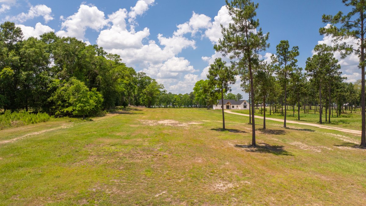 Image for 5.041 +/- Acres - Jones Tract Homesite With Lake Walter F. George Frontage - Dock Permittable - Beach Access - Fort Gaines, GA