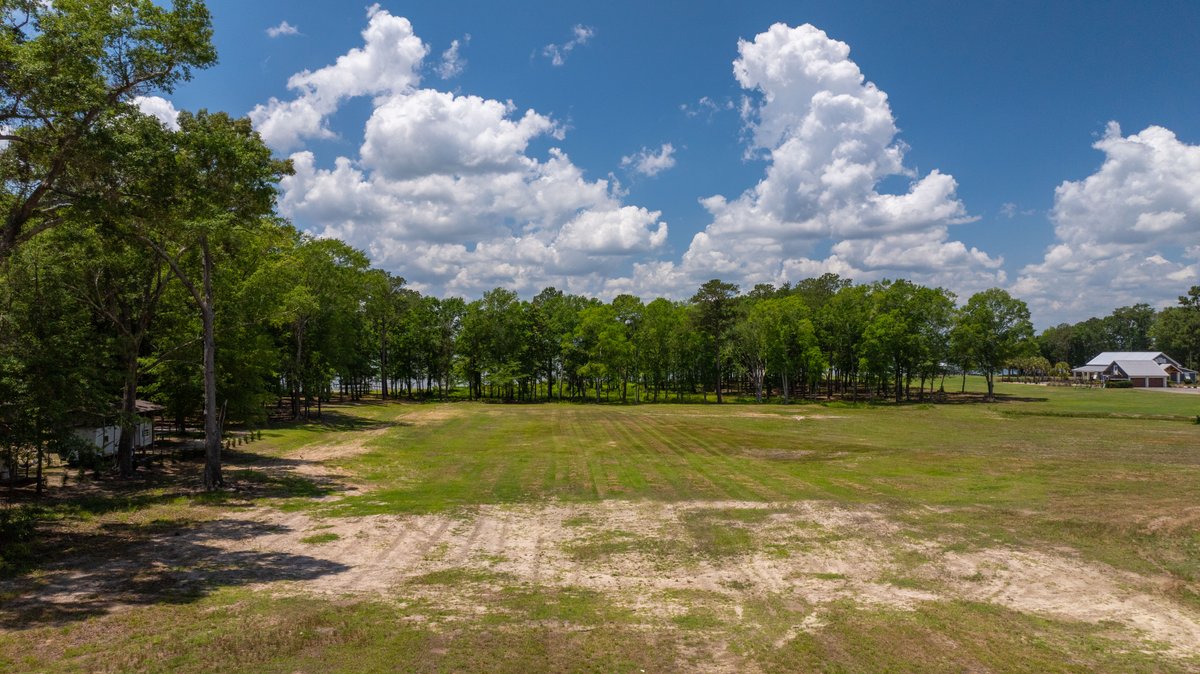 Image for 5.041 +/- Acres - Jones Tract Homesite With Lake Walter F. George Frontage - Dock Permittable - Beach Access - Fort Gaines, GA