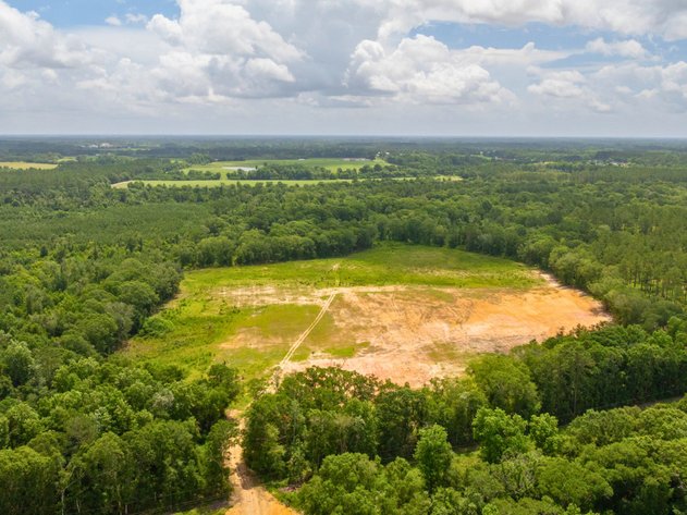 Image for 60.697+/- Acres - Private Homesite & Recreational Tract - Beautiful Hardwoods & Okapilco Creek Frontage