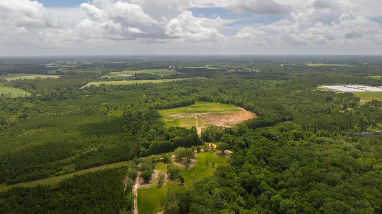 Image for 60.697+/- Acres - Private Homesite & Recreational Tract - Beautiful Hardwoods & Okapilco Creek Frontage