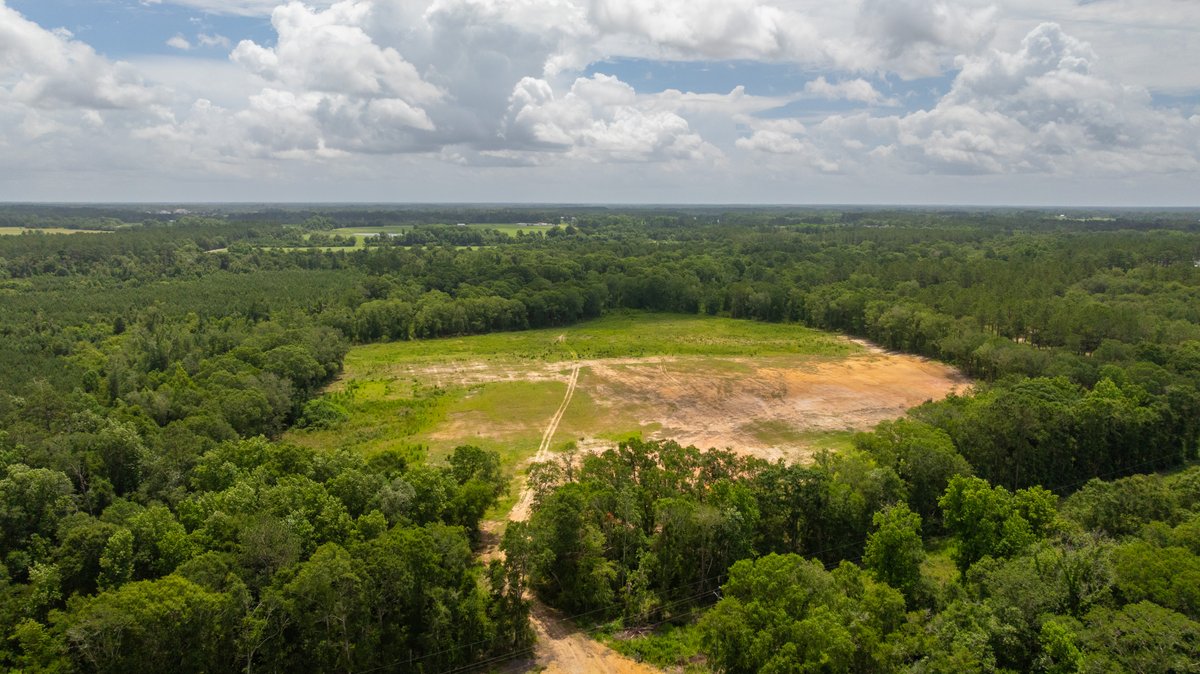 Image for 60.697+/- Acres - Private Homesite & Recreational Tract - Beautiful Hardwoods & Okapilco Creek Frontage