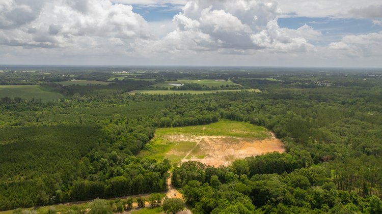 Image for 60.697+/- Acres - Private Homesite & Recreational Tract - Beautiful Hardwoods & Okapilco Creek Frontage