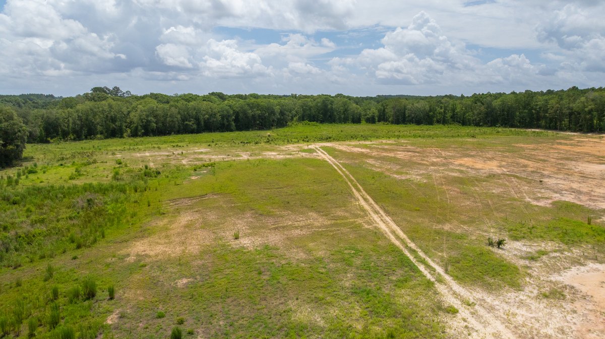Image for 60.697+/- Acres - Private Homesite & Recreational Tract - Beautiful Hardwoods & Okapilco Creek Frontage