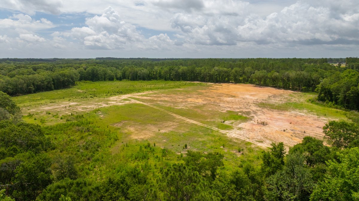 Image for 60.697+/- Acres - Private Homesite & Recreational Tract - Beautiful Hardwoods & Okapilco Creek Frontage