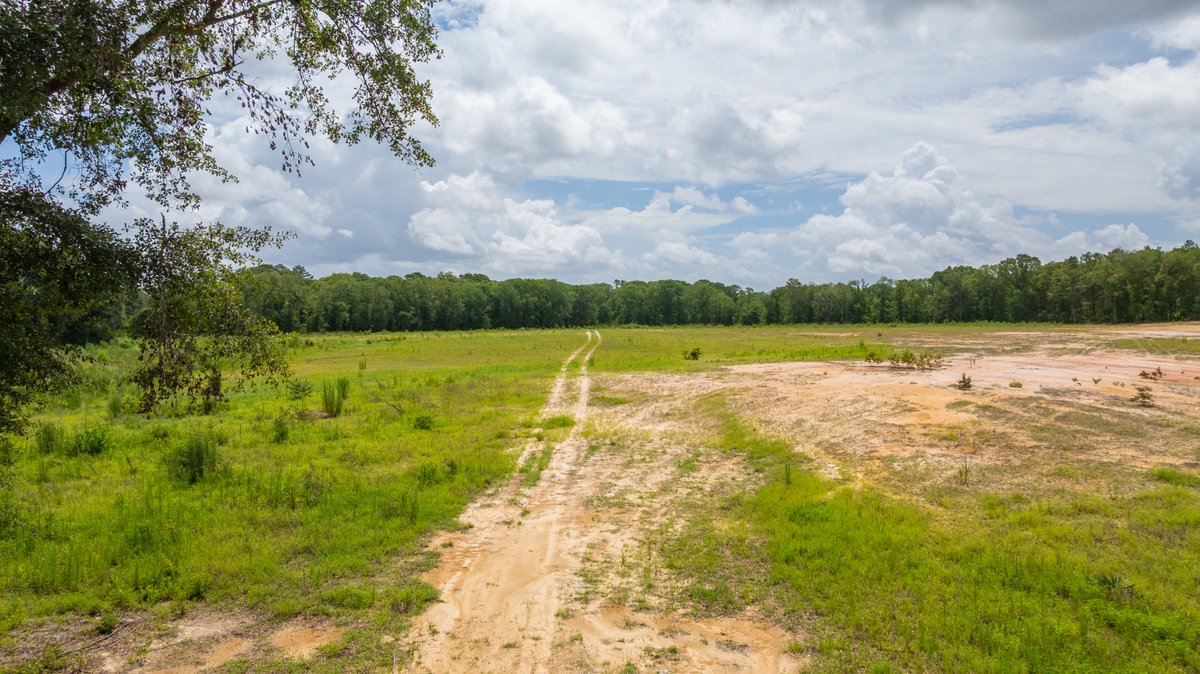 Image for 60.697+/- Acres - Private Homesite & Recreational Tract - Beautiful Hardwoods & Okapilco Creek Frontage